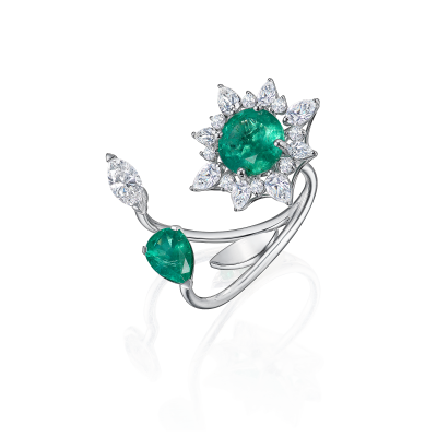 R12-FD-003-6 Кольцо (750)