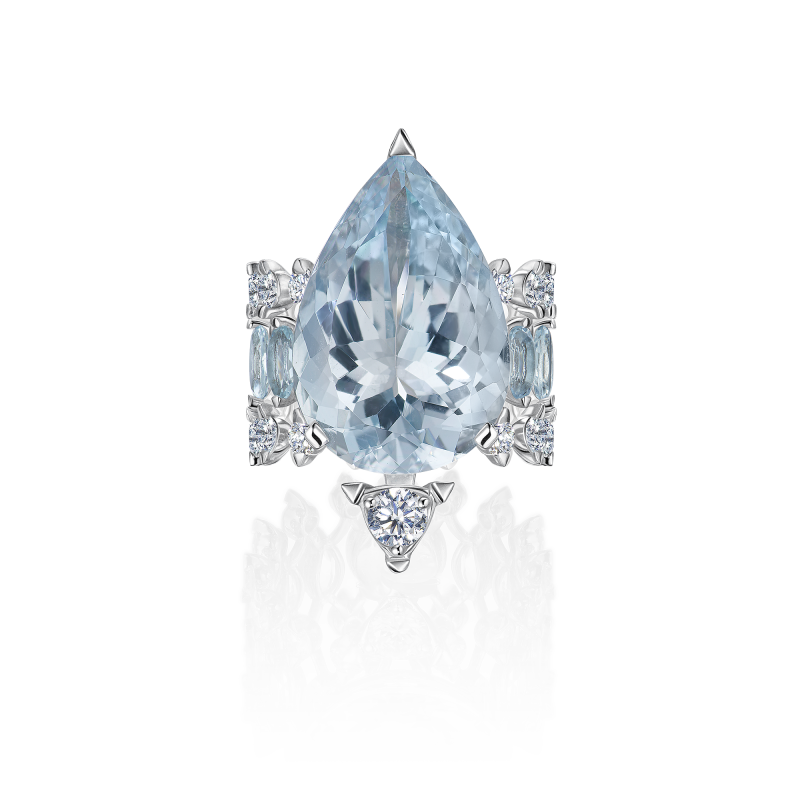 R34-FD-004-6 Кольцо (750)