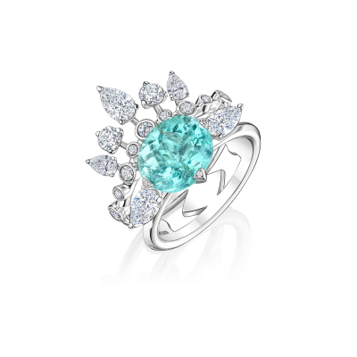 AR4 Кольцо (750)