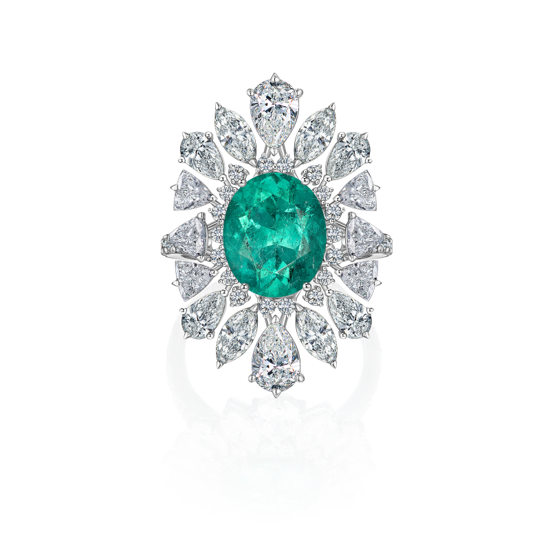 R09-FD-003-6 Кольцо (750)