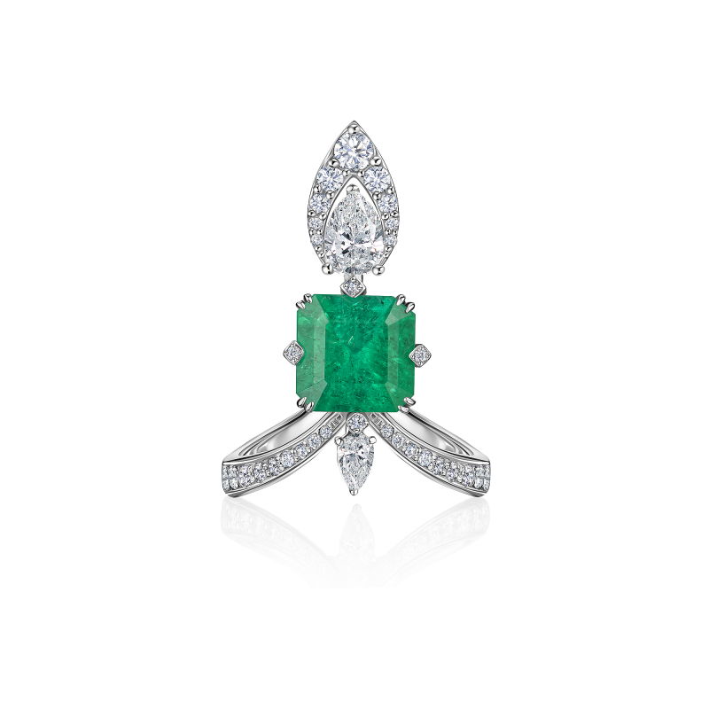 R04-SM-003-6 Кольцо (750)