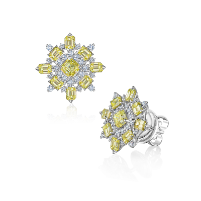 E11-C-005-6 Серьги (750)