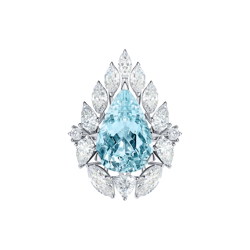 R01-FD-004-6 Кольцо (750)