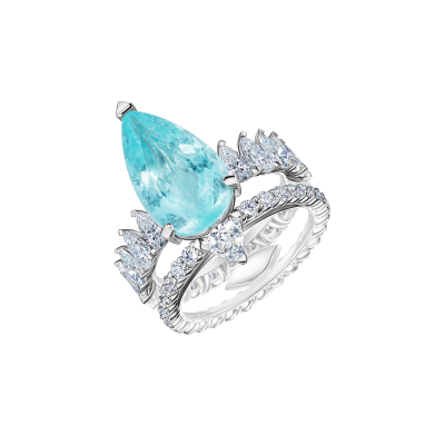 R63-FD-081-6 Кольцо (750)