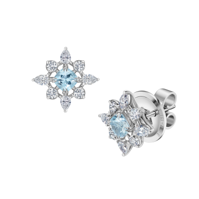 E04-C-004-6 Серьги (750)